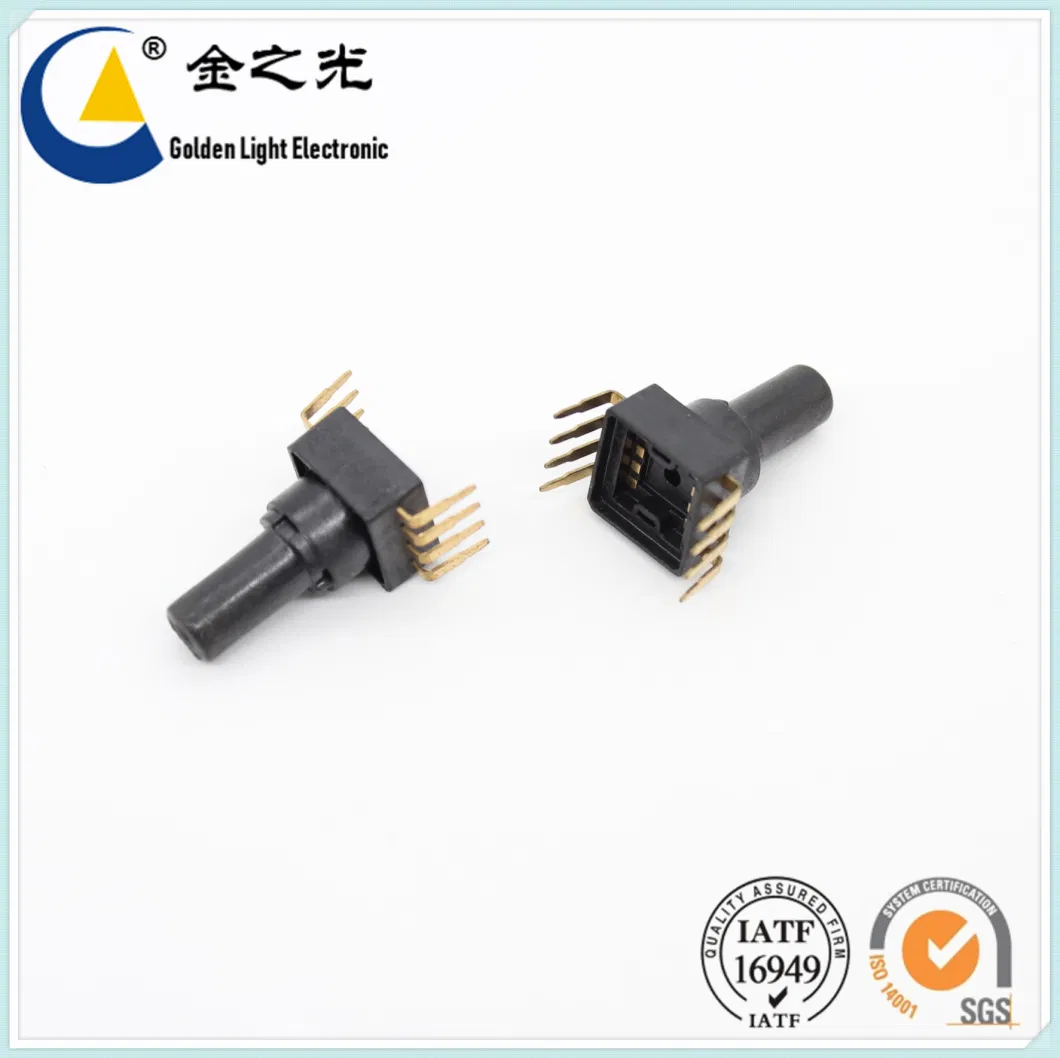 Auto ECU Sealed Waterproof Connectors Overmolding for Automobile and Motorcycles