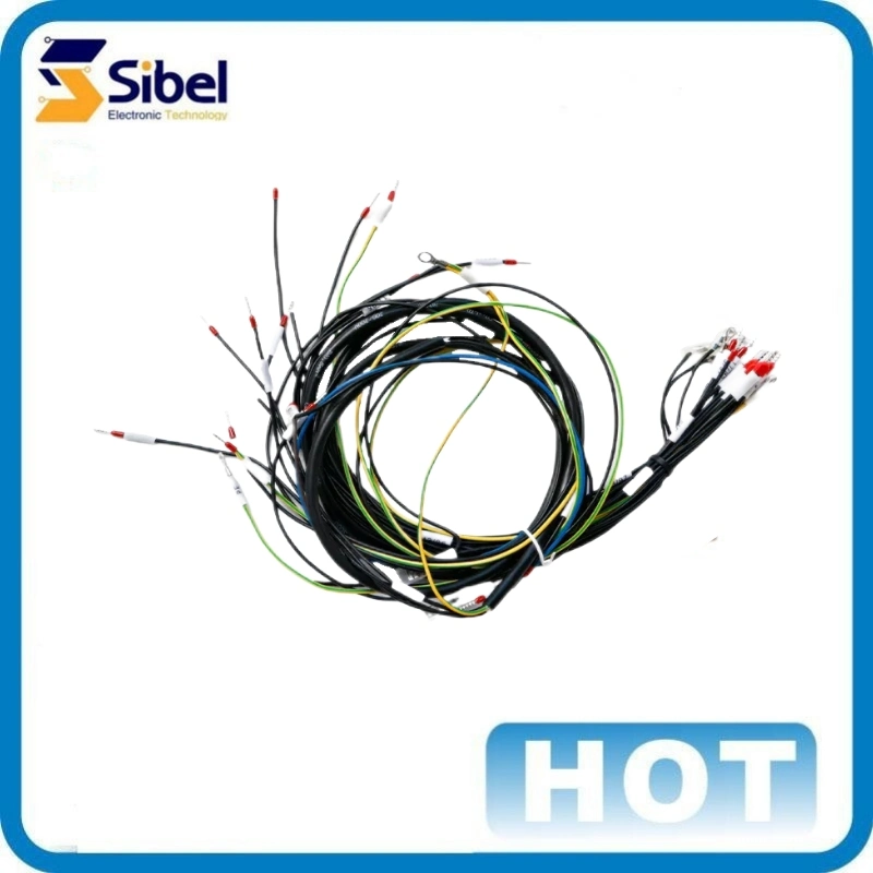 Factory Customized Hot Selling Double Head Industrial Wiring Harnesses with Plugs According to Customer Requirements