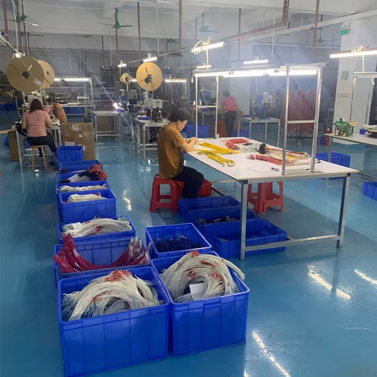 Engine Cable OEM Automotive Wiring Harness Manufacturer Automobile Motorcycle Auto Wire Harness